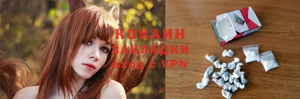 молекула духа Дмитровск