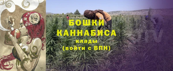 молекула духа Дмитровск