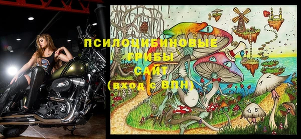 молекула духа Дмитриев