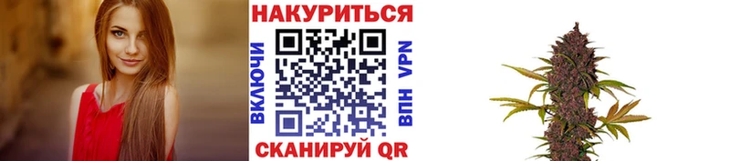 Бошки Шишки THC 21%  Купить где  Невельск 